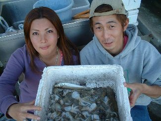 イイダコ釣りの釣果 東京湾 三浦半島金田湾 いいだこ釣りの浜千鳥 神奈川県三浦市金田湾